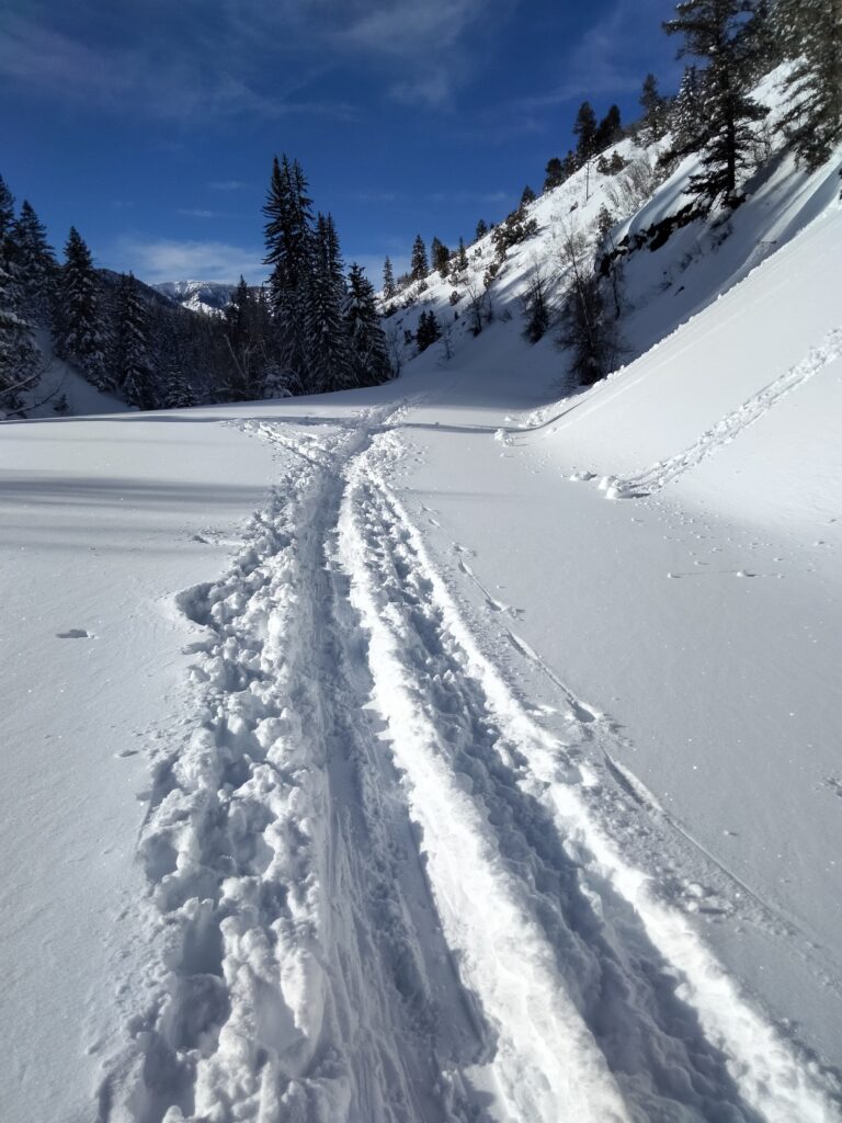 ski tracks trail through snow with snow covered hills and green pine trees in the distance with bright blue sky and sun shining on the snow